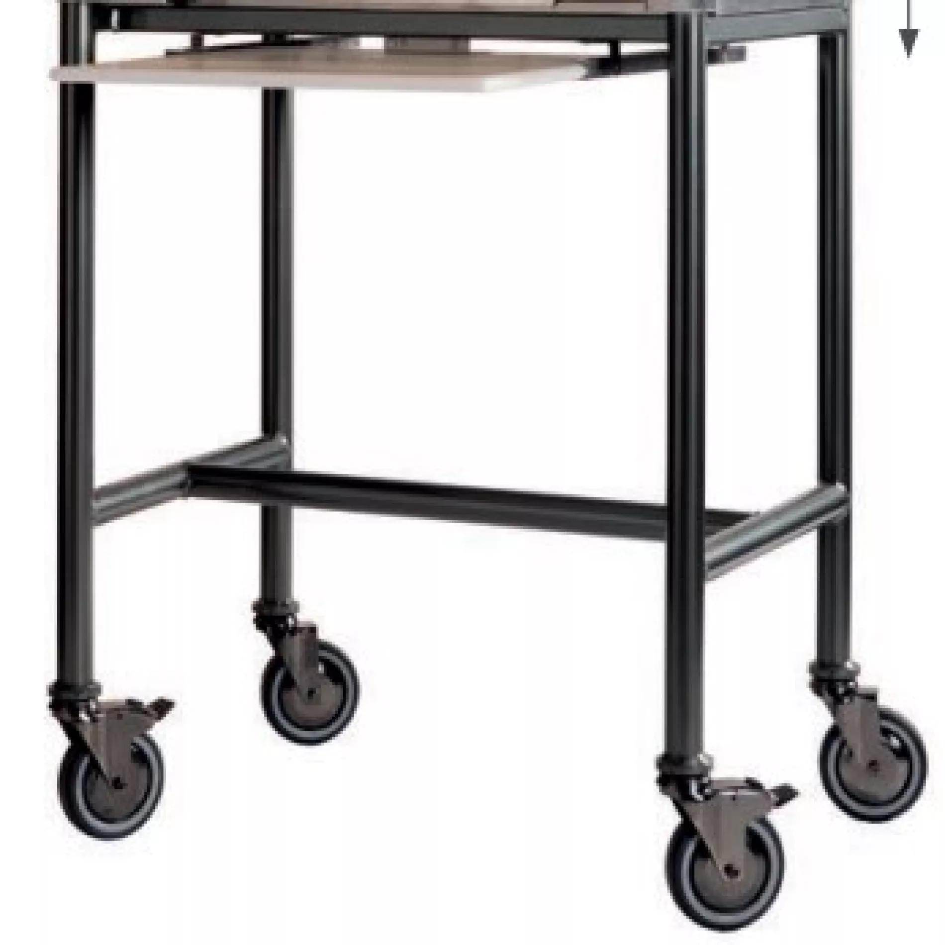 Chariots pour rôtissoire Visuel